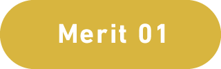 Merit 01