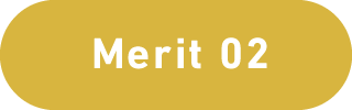 Merit 02