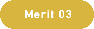 Merit 03