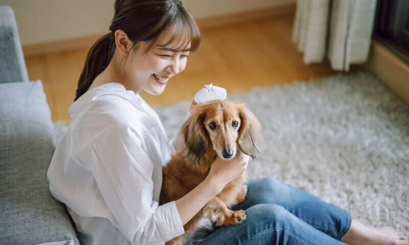 想定する入居者を絞り込むことで入居率を効率的に安定させる